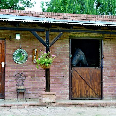 Owls Loft Guest House Midrand Bagian luar foto