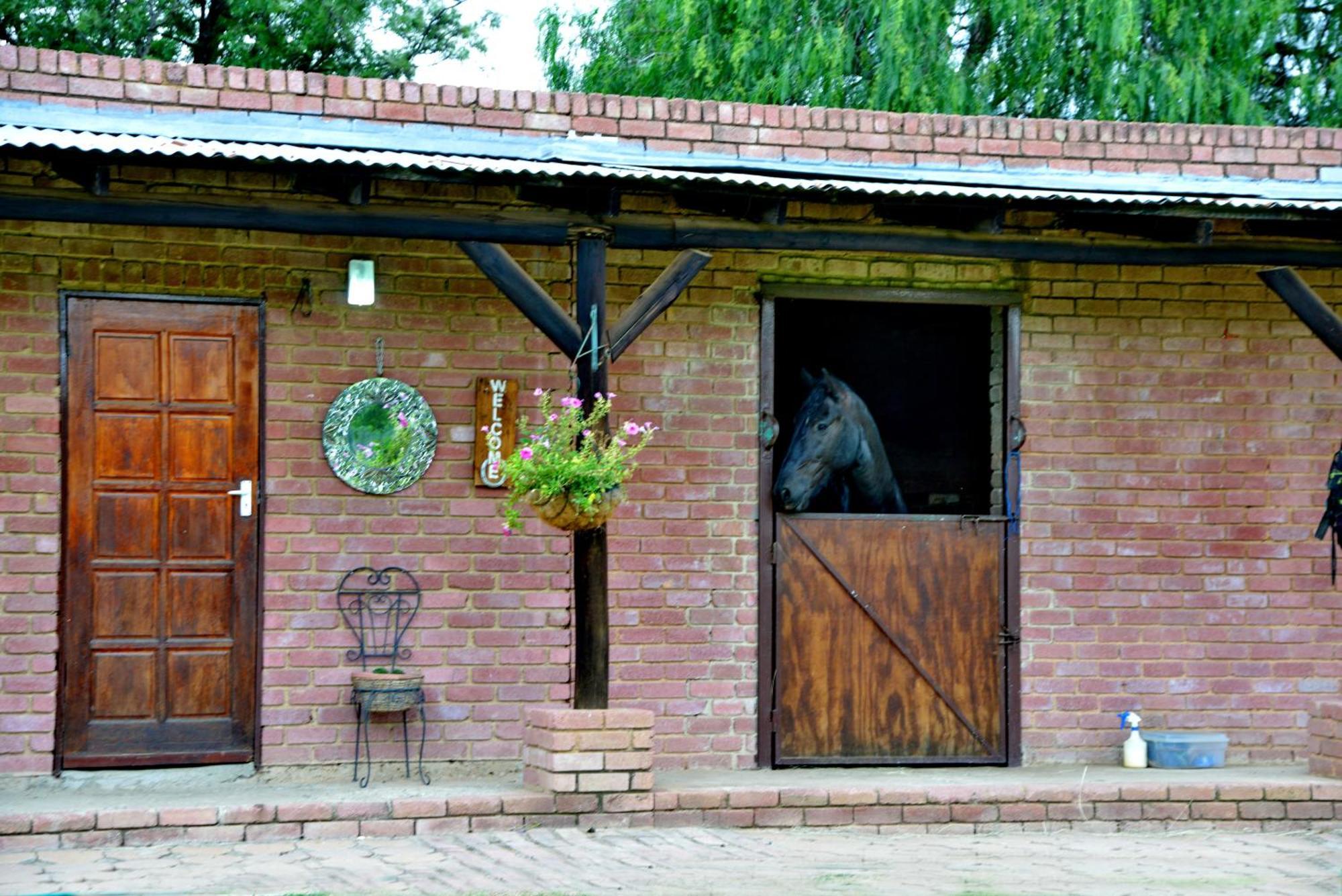 Owls Loft Guest House Midrand Bagian luar foto