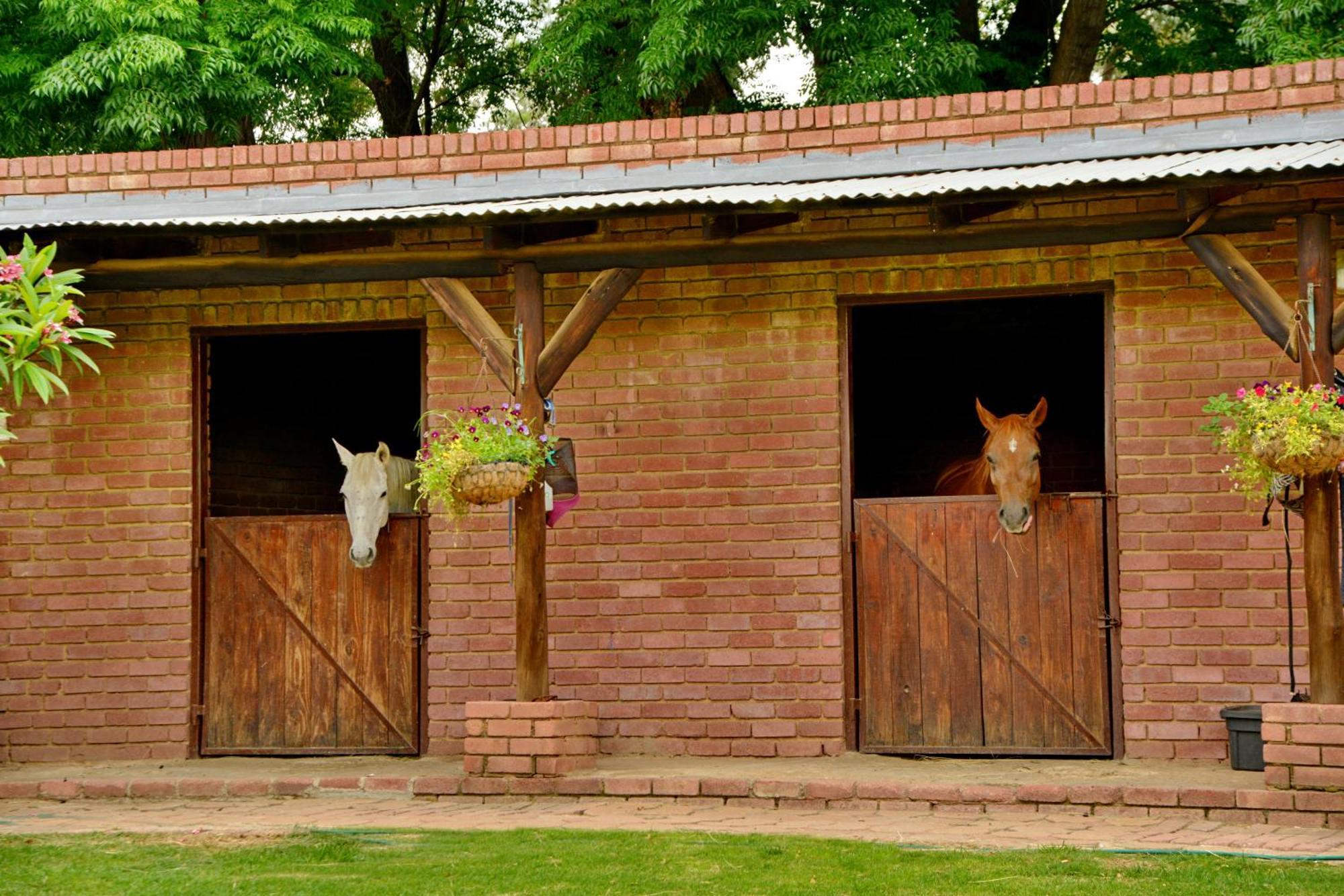 Owls Loft Guest House Midrand Bagian luar foto