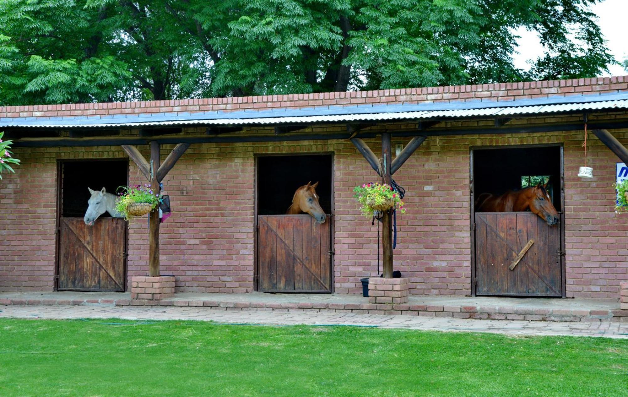 Owls Loft Guest House Midrand Bagian luar foto