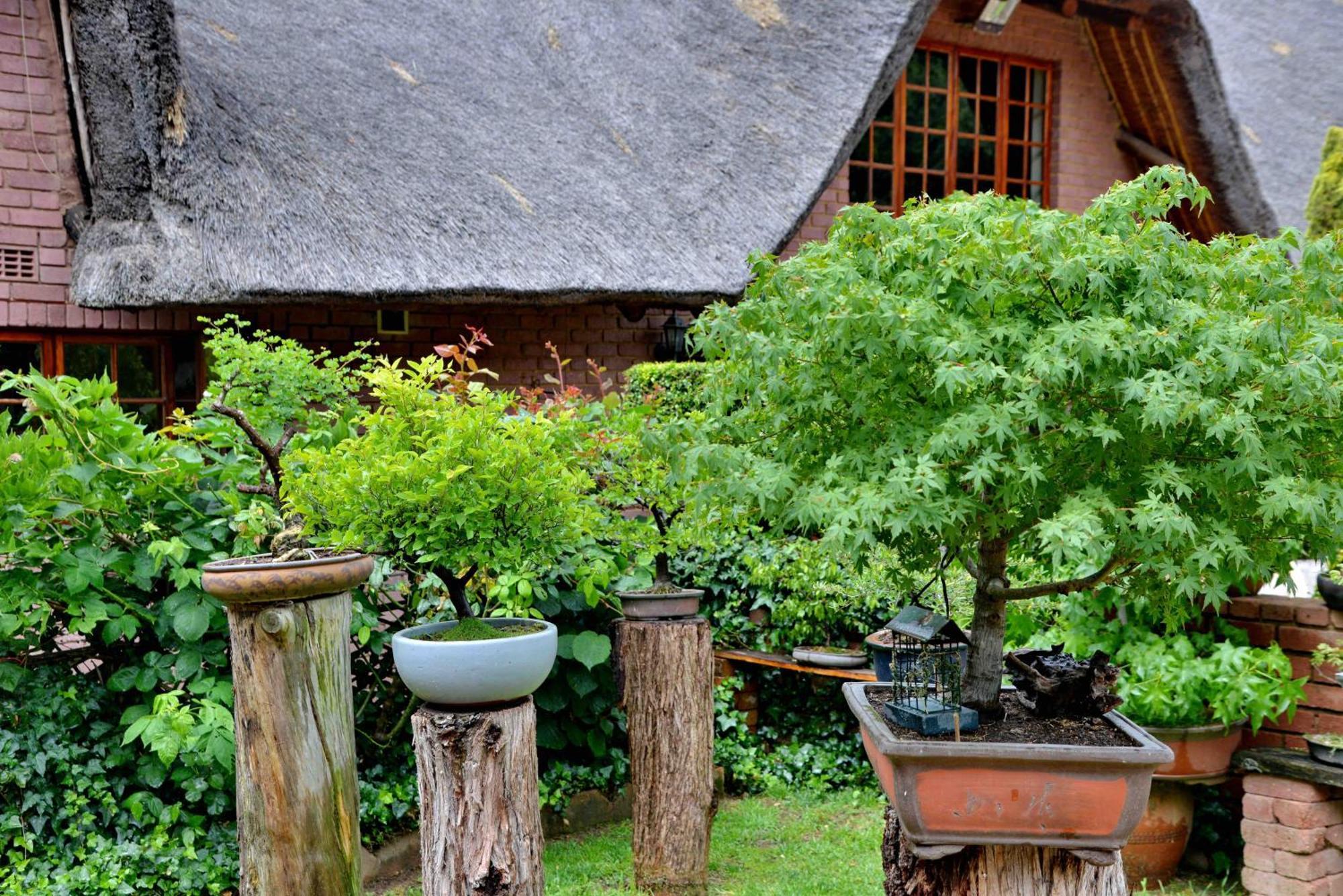 Owls Loft Guest House Midrand Bagian luar foto